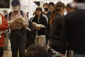 日本东京市民排队几小时抢购大米：每人限购5公斤 一袋150人民币视频封面