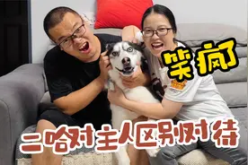 二哈对男主和女主区别对待有多过分？大家看完千万憋住别笑，绝了视频封面