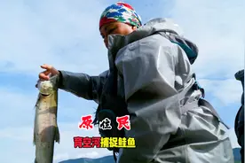 原住民：乔迪夫妇在育空河捕捉白鱼视频封面