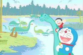 网站常见错误代码讲解