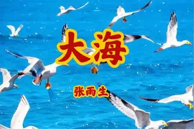 309.张雨生的《大海》，“如果…能够带走我的哀愁，请全部带走”视频封面