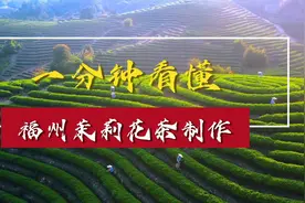 一分钟看懂福州茉莉花茶制作#茉莉花茶窨制 #原产地 #茶叶视频封面