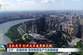 《新闻联播》播发——辽宁：多措并举 筑牢新质生产力发展根基视频封面
