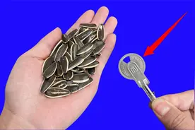 瓜子谁还用手剥？只需一把钥匙，2分钟剥一大碗，不伤手不脏嘴视频封面