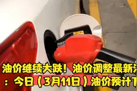 油价继续大跌！油价调整最新消息：今日（3月11日）油价预计下调视频封面