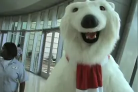 参观可口可乐公司总部（二）视频封面