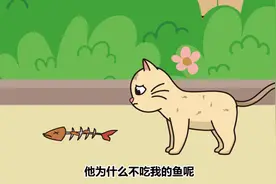 小黄猫不明白小白猫为什么这么喜欢吃鸡腿