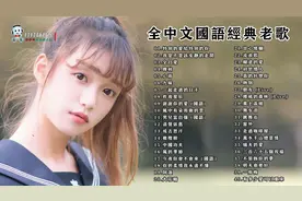 70、80、90年代全中文国语经典流行老歌荟萃视频封面