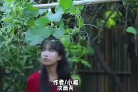 李子柒：她走得最好的一步棋，就是没早早结婚生子