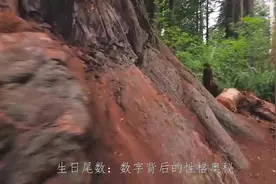 生日尾数决定你的性格视频封面