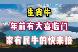 生肖牛年前有大喜临门,家有属牛的快来接.千万别错过了!视频封面