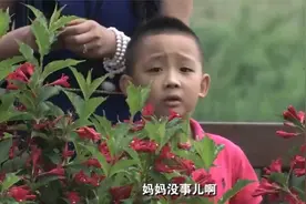 小姨子撞见姐夫在外有家，故意让姐姐去卖保险敲开门，精彩了！视频封面