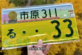 关于车牌的专业性设计建议，看看国外的汽车车牌设计！视频封面