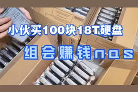 小伙买100块18T硬盘组nas，说还能赚钱，能回本吗？视频封面