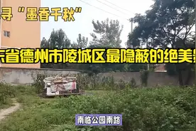 山东省德州市陵城区最隐蔽的绝美景点视频封面