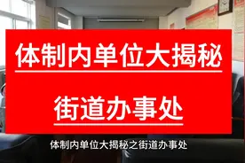 体制内单位大揭秘——街道办事处视频封面