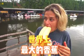 世界上最大的香蕉