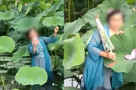 大妈跳进景区荷花池摘荷叶拍照  网友：素质堪忧视频封面