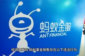 蚂蚁基金销售及公司总经理林思思给予警告并处罚款视频封面