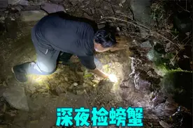 深更半夜去山谷捡石蟹，五步蛇和石蛙随处可见，冬宝直呼太过瘾了