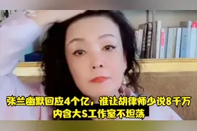 张兰幽默回应4个亿，谁让胡律师少说8千万，内含大S工作室不坦荡视频封面