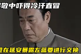 潜伏：佛龛在延安暴露，左蓝要进行交换，吴敬中吓得冷汗直冒视频封面