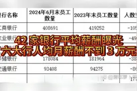 42 家银行平均薪酬曝光 六大行人均月薪酬不到 3 万元视频封面