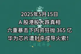 股市大跌：六重暴击下内资狂抛 365 亿 华为芯片遭封杀成导火索视频封面