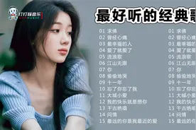 最好听的经典歌曲15首视频封面