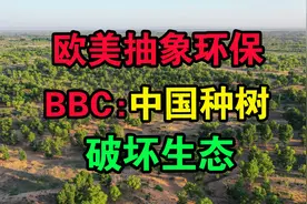欧美抽象环保~中国植树造林破坏生态？治理雾霾导致气候变暖视频封面
