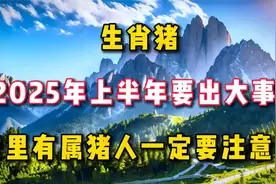 生肖猪,2025年上半年要出大事!家里有属猪人一定要注意了视频封面