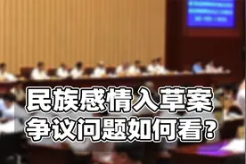 民族精神入法引争论！解决方案或有四种可能视频封面
