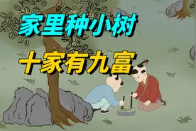 “家里种小树，十家有九富”，3种树随便种一棵，就是“镇宅宝”视频封面