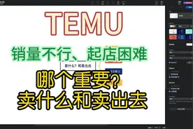 TEMU销量不高，现阶段一定不是选品问题