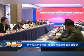 中国银行组织召开银政企对接会视频封面