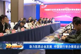 中国银行组织召开银政企对接会视频封面