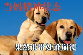 果然谁带娃谁崩溃，当了妈后精神状态都一样，狗狗带娃也会被逼疯视频封面