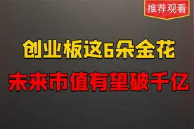 创业板的这6朵金花。未来市值有望到千亿