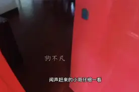 流浪狗被夹子夹伤脚，主动上门找到小伙求救，结局暖心！视频封面