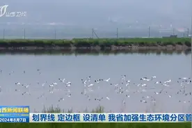 划界线 定边框 设清单 我省加强生态环境分区管控视频封面