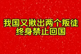 我国又揪出两个叛徒终身禁止回国视频封面