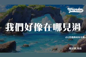 杨宗纬,叶蓓 - 我们好像在哪见过 (DJ冷酷的索尼克版)「我们好像视频封面