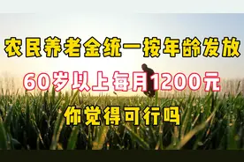 农民养老金按年龄发放，60岁以上每月1200元，你觉得可行吗？视频封面