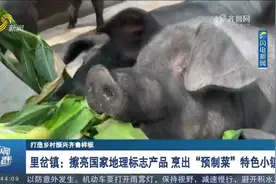 胶州里岔镇：擦亮国家地理标志产品，烹出“预制菜”特色小镇视频封面