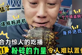 盘点咬合力惊人的5大美食主播，粉碎的力量，令人难以置信，真牛视频封面
