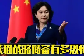 熊猫战略储备有多恐怖#听风的蚕#军事科普 #国际局势分析视频封面