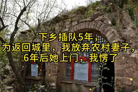 下乡插队5年，为返回城里，我放弃农村妻子，6年后她上门，我愣了视频封面