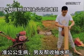 准公公得痔疮疼得要命，二丫摘这种神奇植物回来洗，第二天就好了视频封面