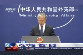 外交部 欢迎大熊猫“福宝”回国视频封面