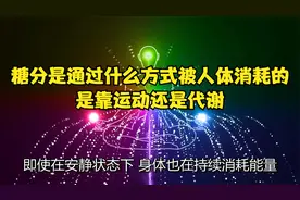 糖分是通过什么方式被人体消耗的？是靠运动还是代谢？视频封面